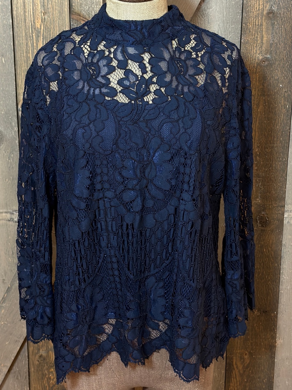Evereve Allison Joy Navy Blue Lace Mock Neck Sheer Blouse Top Large Party